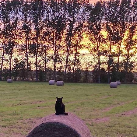 Ferienwohnung Kompass Nahe Der Ostsee Im Gruenen บัดโดเบอราน ภายนอก รูปภาพ